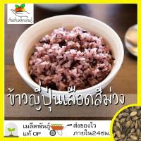 ราคา เมล็ดพันธุ์ ข้าวญี่ปุ่นเลือดสีม่วง (เมล็ดพันธุ์หายาก) 100 เมล็ด Purple Blood Japanese Rice Seed เมล็ดพันธุ์แท้ นำเข้า (6779594544)