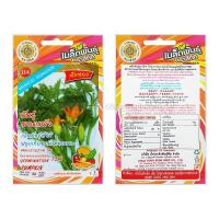 ราคา เมล็ดฟักทอง พันธุ์ยอดแม้ว(รหัส A4864) (24577394694)