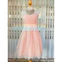 ราคา ส่งต่อ ชุดราตรีสั้นสีชมพู เดรสราตรีสีชมพู ชุดออกงานสีชมพู ชุดไปงานแต่งธีมสีชมพู ชุดไปงานแต่งสีชมพูมือสอง (16628853194)