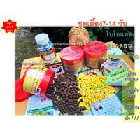 ราคา ชุดเลี้ยงกุสุมา 7-14 วัน ลูกกลอน 200 กรัม ไฟล์ทเตอร์เอ 30 แคปซูล และไบโอแคล100 เม็ด (22815650882)