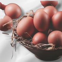 ราคา แบบจําลองไข่ไก่ สะท้อน / ของเล่นเด็ก / การศึกษาของเด็ก / ตกแต่งโต๊ะอาหาร / การแสดงโรงแรมร้านอาหาร และอื่นๆ (41818900920)