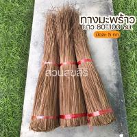 ราคา ทางมะพร้าว ทางมะพร้าวแบบกำ ทางมะพร้าวแห้ง ทำไม้กวาดทางมะพร้าว ก้านมะพร้าว ถวาย วัด ยาว80-100 ซม. (9124586231)