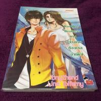 ราคา Bad Boy Brother แรงอย่างเธอต้องเจอมาเฟีย (116738042)