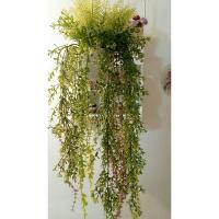 ราคา กระเช้าแขวนต้นไม้ปลอม (5348024013)