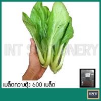 ราคา เมล็ดกวางตุ้ง ประมาณ 600 เมล็ด เมล็ดพันธุ์ผัก เมล็ดผัก เมล็ดพันธุ์กวางตุ้ง (13472774099)
