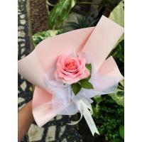 ราคา ดอกกุหลาบดินปั้น ดินไทย (กุหลาบธรรมดา) (46600885099)