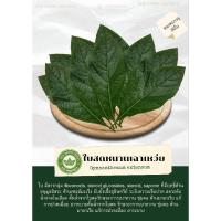 ราคา ใบสดหนานเฉาเหว่ย(บรรจุ50ใบ) (21973490422)