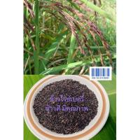 ราคา ข้าวไรซ์เบอรี่ บรรจุสูญญากาศน้ำหนัก1กิโลกรัม ข้าวปลอดสาร (13642453279)