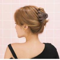 ราคา กิ๊ฟช็อป ,กิ๊ฟติดผม,หนีบผมกล้วย,กิ๊ฟหนีบผมงานเกาหลี ญี่ปุ่น (5421489946)