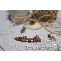 ราคา ว่านเกราะเพชรไพฑูรย์ (ขายเป็นหัว) (8705353761)