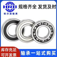 ราคา Halbin HRB Bearing Agent 6215 6216 6217 6218 6219 ZZ 2RZ ตลับลูกปืนเม็ดกลมร่องลึก (42170602672)
