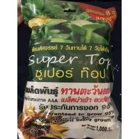 ราคา เมล็ดต้นอ่อนทานตะวัน 1 กก. (7652829470)