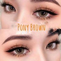 ราคา คอนแทคเลนส์ Wink ลาย Pony (Big) (6139241947)