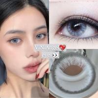 ราคา pony Gray Pitchy ฝาแดง (6556656611)