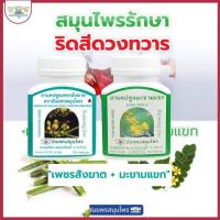 ราคา ยาบรรเทาริดสีดวงทวาร เพชรสังฆาต มะขามแขก แก้ท้องผูก ธันยพรสมุนไพร 100 แคปซูล ของแท้100% (29522561848)