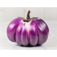 ราคา เมล็ดพันธุ์ มะเขือ จานม่วง มะเขือเปราะจานสีม่วง 40-100 เมล็ด มีคู่มือ [ซื้อ 10 แถม 1 คละได้] (25772714971)