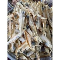 ราคา ปลาลิ้นหมา ปลาลิ้นหมาตากแห้ง เค็มน้อย สินค้าฮาลาล (22944803024)