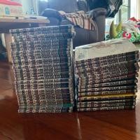 ราคา หนังสือการ์ตูนมือสอง คุณชายพันธุ์โชะ โคฮินาตะ มิโนรุ (4733526874)