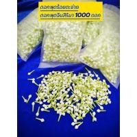 ราคา ดอกพุดร้อยตะข่าย ดอกพุดจีบสิริมา ดอกพุดปลอม ดอกพุดพลาสติกก้านยาว 1.8ซม. (26575132637)