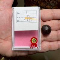 ราคา ลูกอมพอกครั่งนะปัดตลอดหลวงพ่อทองศุข วัดโตนดหลวง พร้อมใบประกาศ (41819678895)