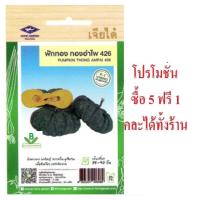 ราคา 5 แถม 1 คละได้ทั้งร้าน เมล็ดพันธุ์ ฟักทอง ทองอำไพ 426 เจียไต๋ เมล็ดพันธุ์ผัก เมล็ดผัก เมล็ดพันธุ์พืช (20286654700)