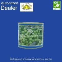 ราคา เมล็ดพันธุ์ มะเขือพวง พวงหยก ตรา งอบทอง ( 50 กรัม ) (7959337316)