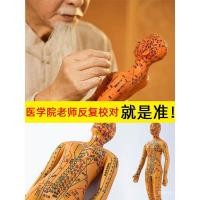 ราคา หุ่นจำลองการฝังเข็ม หุ่นจำลองจุดฝังเข็มจริง หุ่นเต็มตัว หุ่นผิวขนาดเล็ก หุ่นทองแดงขนาดเล็ก 12 ตัว หุ่นแพทย์แผนจีน (29029171259)