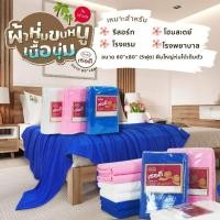 ราคา #โฮมสเตย์ #โรงแรม #รีสอร์ท หรือผ้าห่มที่ใช้ในโรงพยาบาล ผ้าห่มขนหนูผืนใหญ่ 5 ฟุต #แบรนด์TERDEE ขนาด 60 x 80 นิ้ว (5ฟุต) (25026701972)