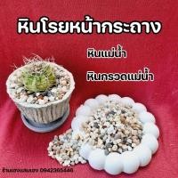 ราคา หินแม่น้ำ หินแกลบแม่น้ำโขง หินโรยกระถาง กระสอบ 5kg (22383672315)