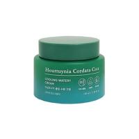 ราคา TONYMOLY Houttuynia Cordata Cica COOLING WATERY CREAM 100ml (22052087782)
