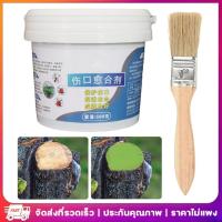 ราคา 500g ยาสมานแผลต้นไม้ ตัดตัดแต่งกิ่งต้นไม้บอนไซซีลครีมธรรมชาติพร้อมแปรงดอกไม้วางไม้พุ่ม moyizhth (43957621063)
