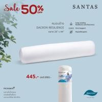 ราคา SANTAS หมอนข้าง - รุ่น DACRON® RESILIENCE™ (4932967390)
