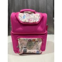 ราคา (รบกวนไม่สั่งร่วมกับรายการอื่นนะคะ เนื่องจากสินค้าอยู่คนละที่กันค่ะ) กระเป๋าเก็บความเย็น camera มือสอง (27629761972)