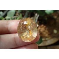 ราคา โป่งข่าม แก้วกาบเงินทอง (1464064001)