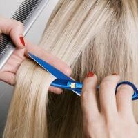 ราคา [ดี] SR กรรไกรตัดผมยืดผมสแตนเลสไฟฟ้า 4Cr13 - SR6 (41522106256)