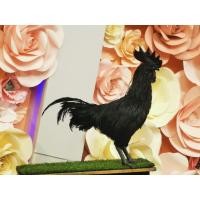 ราคา ไข่เชื้อไก่ดำอินโดนีเซีย​ พ่อพันธุ์เป็นแชมป์ถ้วยพระราชทาน​ ราคาต่อ​ 1ใบ (22230789639)