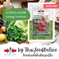 ราคา ศรแดง VP3 ซฟ เมล็ดพันธุ์ มะเขืออีเป๋อ พวงชมพู2 150เมล็ด ตราศรแดง ซอง 10บาท Small Tomato (1370068598)