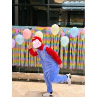 ราคา ชุดมาสคอสมาริโอ้ ชุดมาริโอ้มือสอง (25559663137)