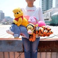 ราคา ตุ๊กตา Pooh หมีพูห์ & Piglet พิกเล็ต & Eeyore อียอร์ & Tigger ทิกเกอร์ ท่าหมอบหันข้าง 15นิ้ว พู พูห์ หมีพู (2949538703)