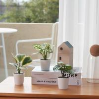 ราคา ถูกกว่าซื้อที่อิเกีย ได้3ชิ้น3พันธุ์ Ikeaของแท้ ไม้ประดิษฐ์ในกระถางสีขาวมินิมอล (19281746681)