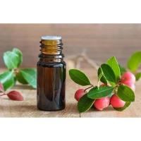 ราคา [พร้อมส่ง] น้ำมันระกำ ขนาด 100 กรัม Methyl salicylate สำหรับ ทำยาหม่อง บาล์ม ฟรี สูตรตำรับขี้ผึ้ง (24721847887)