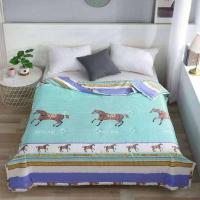 ราคา ผ้าห่มใยไหมเย็นตัวใหม่ล่าสุด (24857438252)