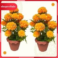 ราคา ดาวเรืองกระถาง ประดับบ้าน สวน หิ้งพระ ดาวเรืองปลอม กระถางดาวเรือง ต้นดาวเรือง ดอกดาวเรือง ดอกไม้ปลอม ตกแต่งบ้านต้น (7097452156)