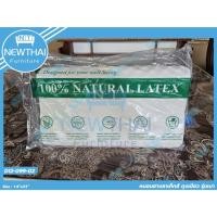 ราคา หมอนยางพารา 100% Natural Latex(รุ่นเบา) Size: 14 X 23นิ้ว (41822375363)