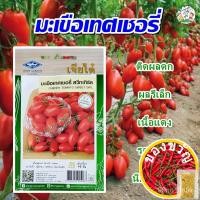 ราคา เมล็ดมะเขือเทศเชอรี่ สวีทเกิร์ล ปริมาณ50เมล็ด เมล็ดมะเขือเทศ เมล็ดพันธุ์มะเขือเทศ มะเขือเทศเชอรี่ เมล็ดพันธุ์ผัก ตราเจีย (15596115667)