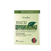 ราคา สารสกัดชาเขียว อีจีซีจี แมกซ์ Giffarine EGCG Maxx (25226183125)