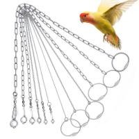 ราคา 1 ชุด โซ่คล้องขานก มีห่วง สายจูงนกแก้วสแตนเลส ป้องกันการบิน สำหรับฝึกนกทุกฤดูกาล (26957839657)