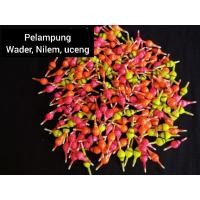 ราคา Fishing Float / Kumbul / Kambangan / Microfishing Fishing Float / Wader Float / Microfishing Fishing Float (42224743028)