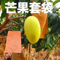 ราคา ครีมกันแดด Concubine Mango Paper Bag Jinhuang ผลไม้ Tainong กระเป๋าป้องกันแมลง Kate Mango Bag Bag BLY3 (43870351476)