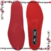 ราคา Japan Official MIZUNO ENERZY INSOLE for Volleyball, Handball, and Basketball - Model V1GZ2203 (26336700158)